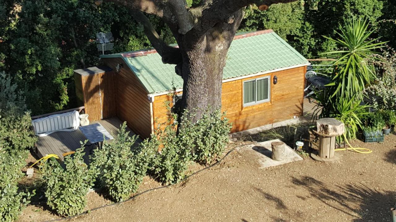 Le Petit Chalet Porticcio  Exteriér fotografie